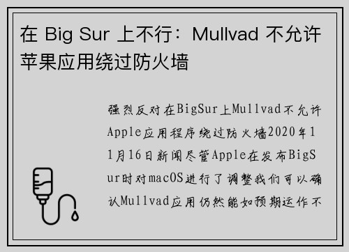 在 Big Sur 上不行：Mullvad 不允许苹果应用绕过防火墙 